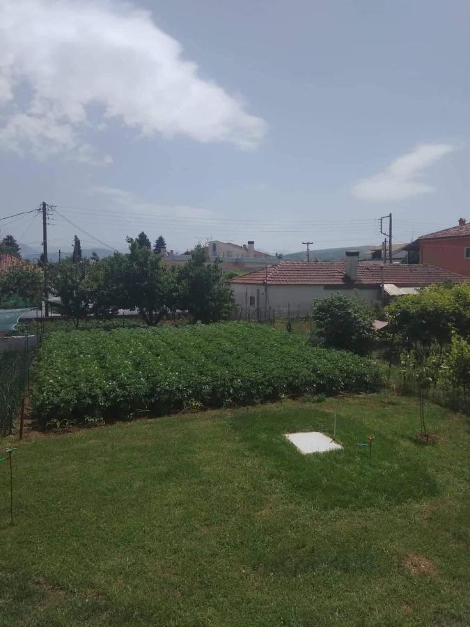 Dream House Ioannina Exterior foto
