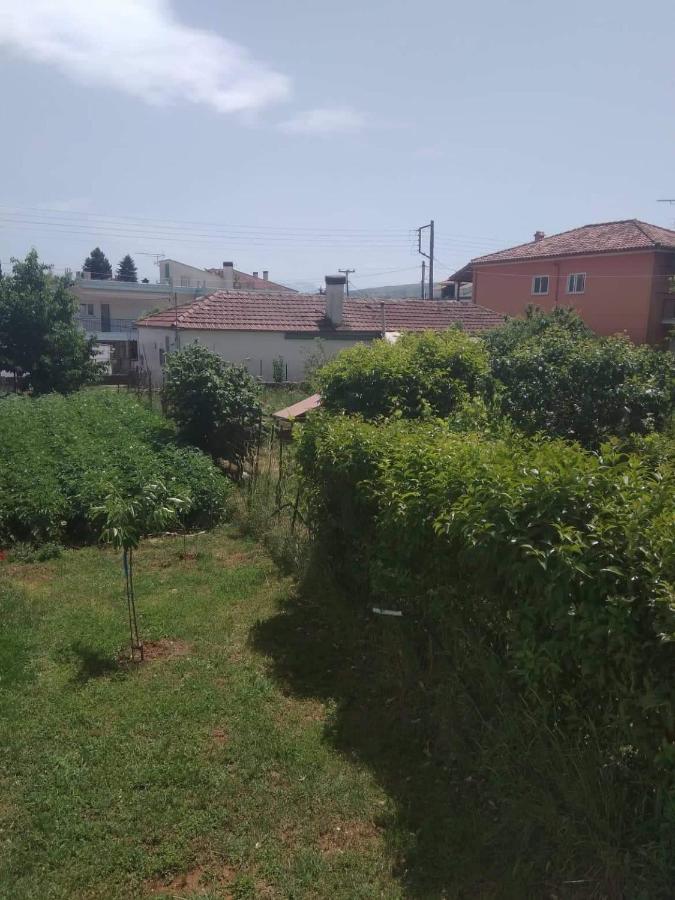 Dream House Ioannina Exterior foto